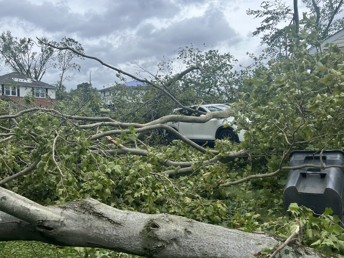 This is just some of the damage from an EF-1 tornado that touched down last night in New Castle County, DE. The Sherwood Park neighborhood was hit the hardest. 95 mph winds sent trees onto cars and into homes. Luckily, no reports of injuries