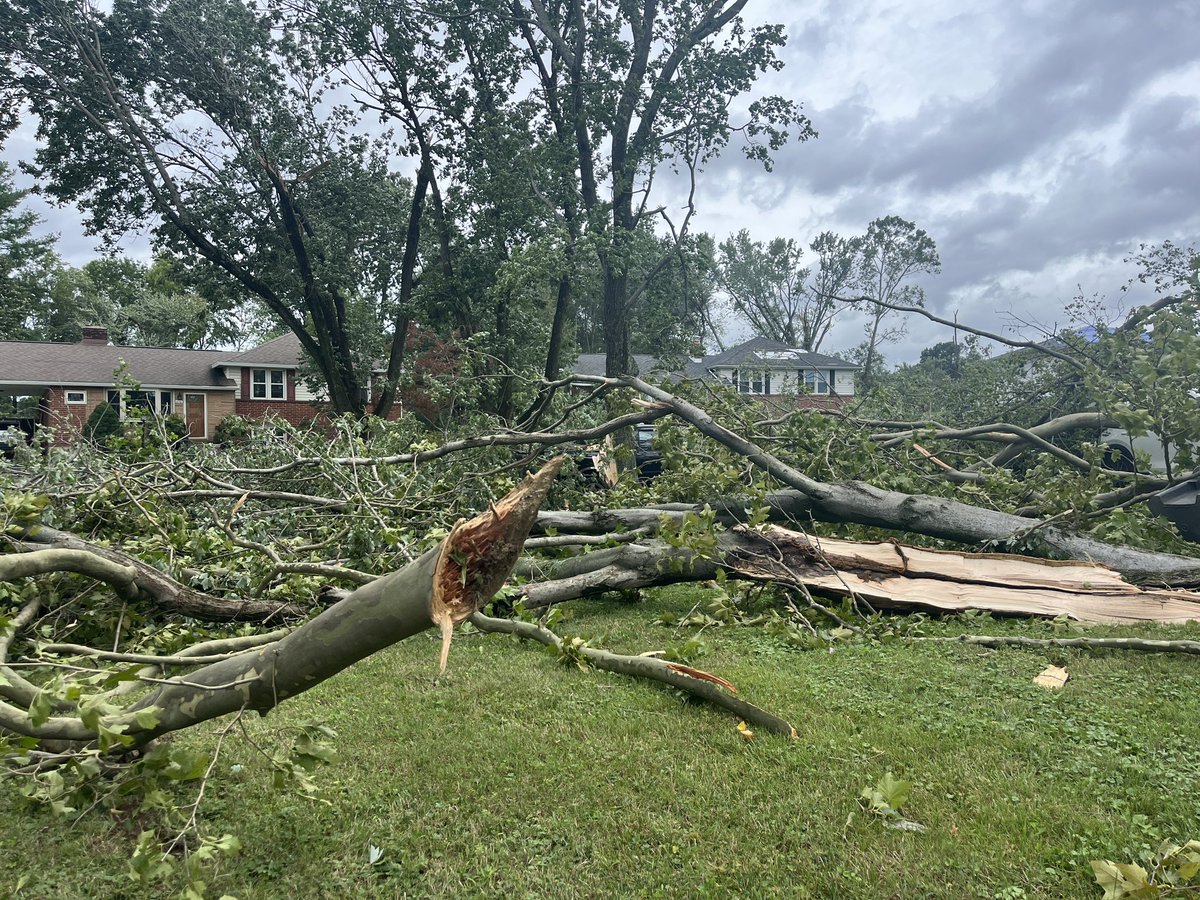 This is just some of the damage from an EF-1 tornado that touched down last night in New Castle County, DE. The Sherwood Park neighborhood was hit the hardest. 95 mph winds sent trees onto cars and into homes. Luckily, no reports of injuries